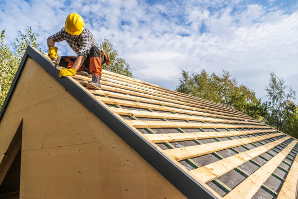 Best Roof Gutter Cleaning  in Trion, GA