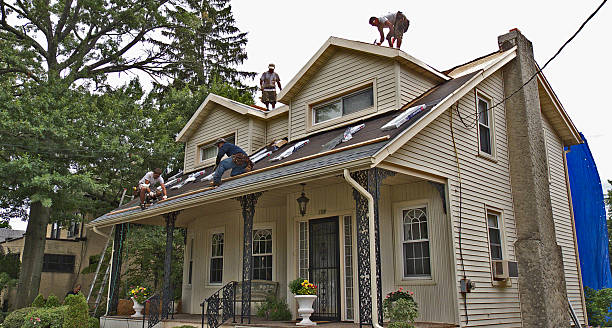 Best Local Roofing Companies  in Trion, GA