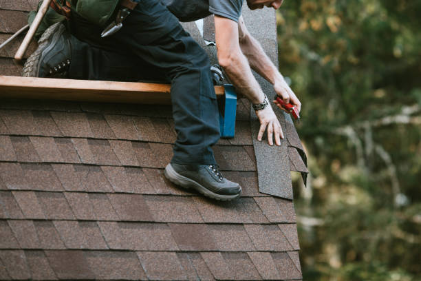 Best Storm Damage Roof Repair  in Trion, GA
